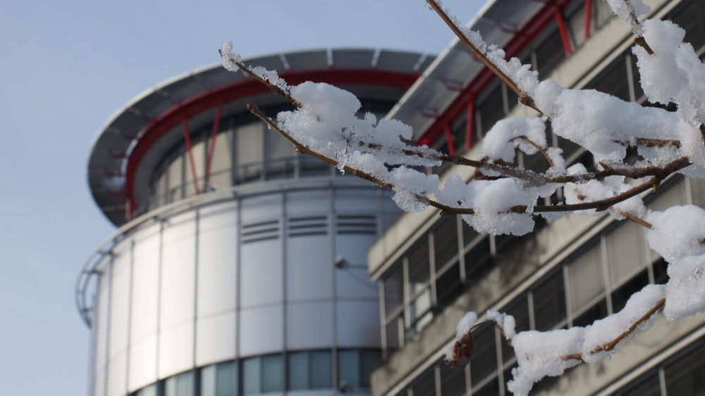 ECtHR rules in several migrant-related cases