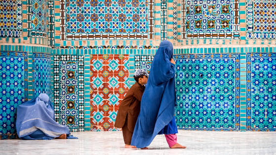 Mass deportations of Afghans from Pakistan: ‘Europe can do more through member States’ embassies,’ says PACE Rapporteur