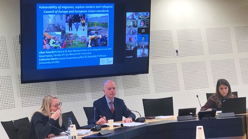 Video and presentations now available: Webinar on vulnerability of migrants, asylum seekers and refugees under CoE and EU standards.