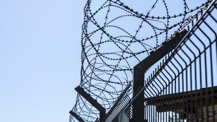 Congress: “The stand-off on the Poland-Belarus border puts the lives of migrants in danger”