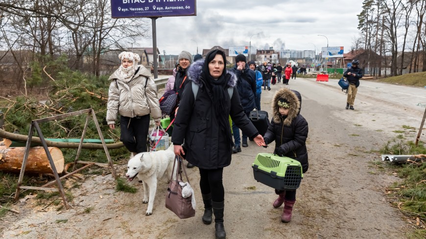 The Special Representative has launched a number of concrete actions in support of the people fleeing Ukraine