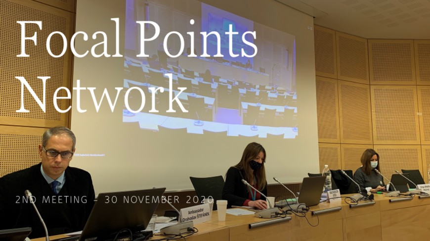 SRSG Štefánek hosted 2nd meeting of Focal Points Network on migration