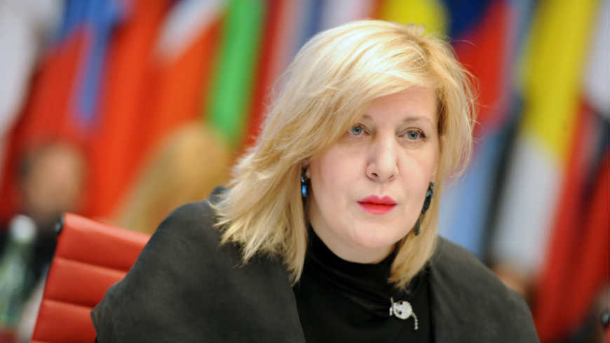 The Commissioner intervenes before the European Court of Human Rights in a case concerning family reunification in Denmark and visits Hungary