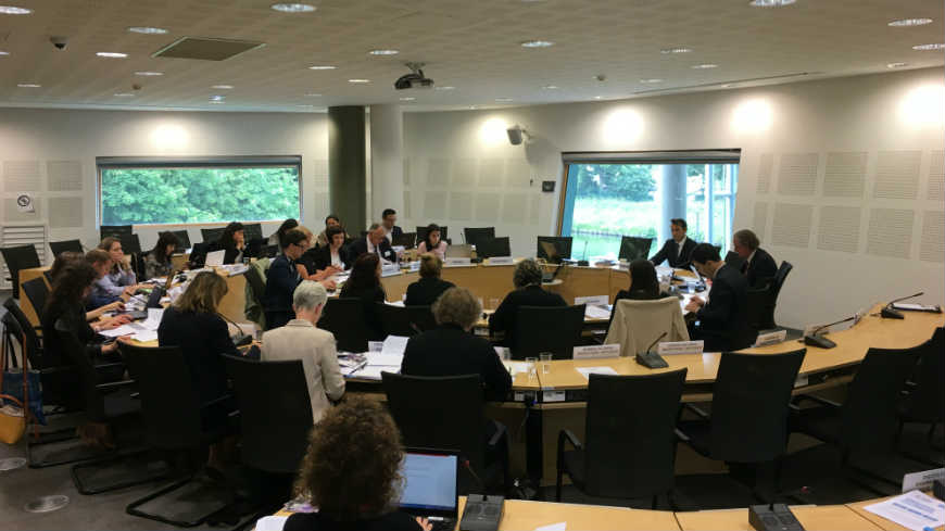 Ad hoc meeting on statelessness determination procedures