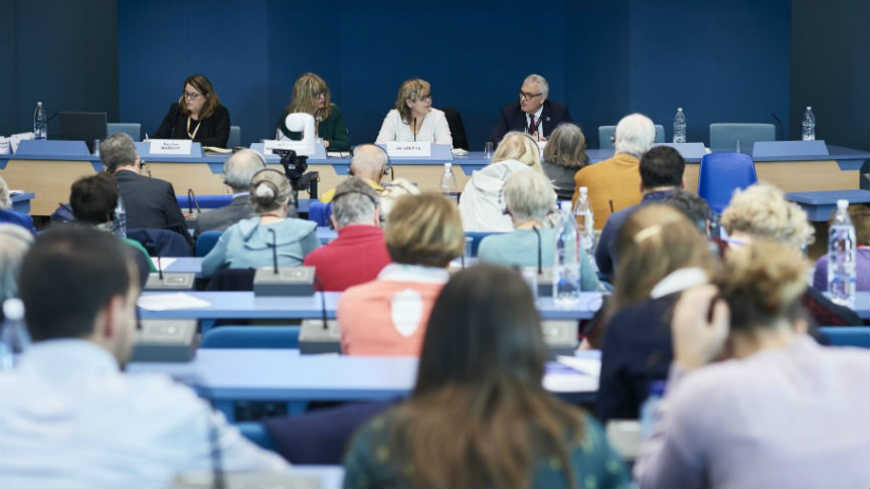 Conference of INGOs addressed the human rights of migrants