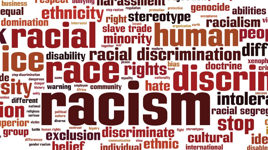 ECRI discussed negative impact of Covid-19 on the health and socio-economic participation of minorities and migrants