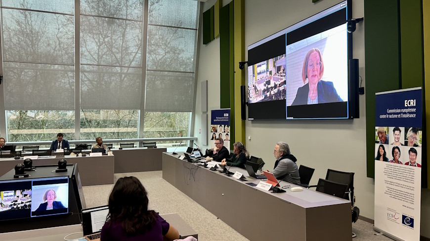 Exchange of views with the European Commission against Racism and Intolerance