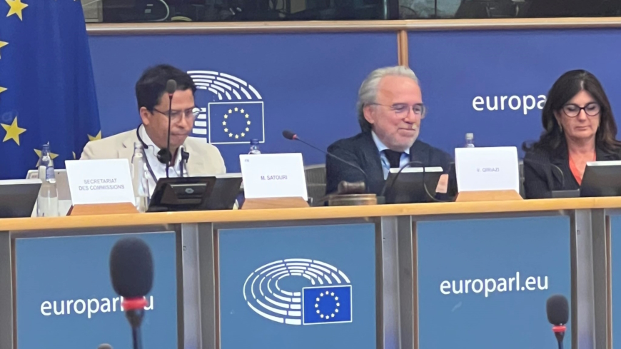 Le Conseil de l'Europe souligne le rôle du multilatéralisme dans la défense de la liberté académique lors d'un échange au Parlement européen