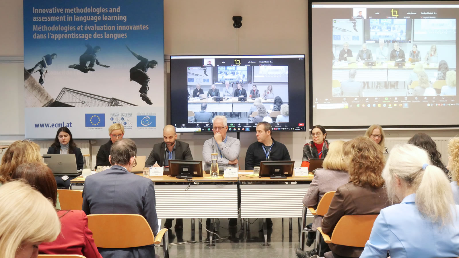 Strengthening support for regional and minority languages (RML) within ...