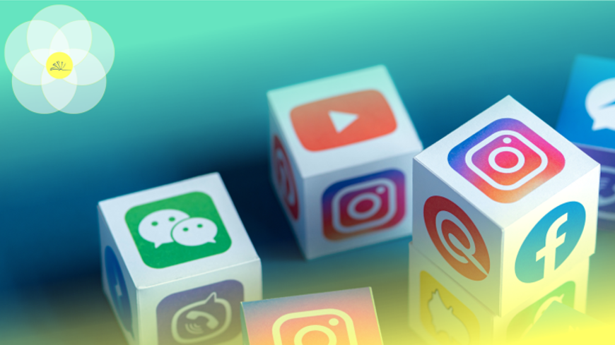 New “Key-to” LEMON courses on social media available