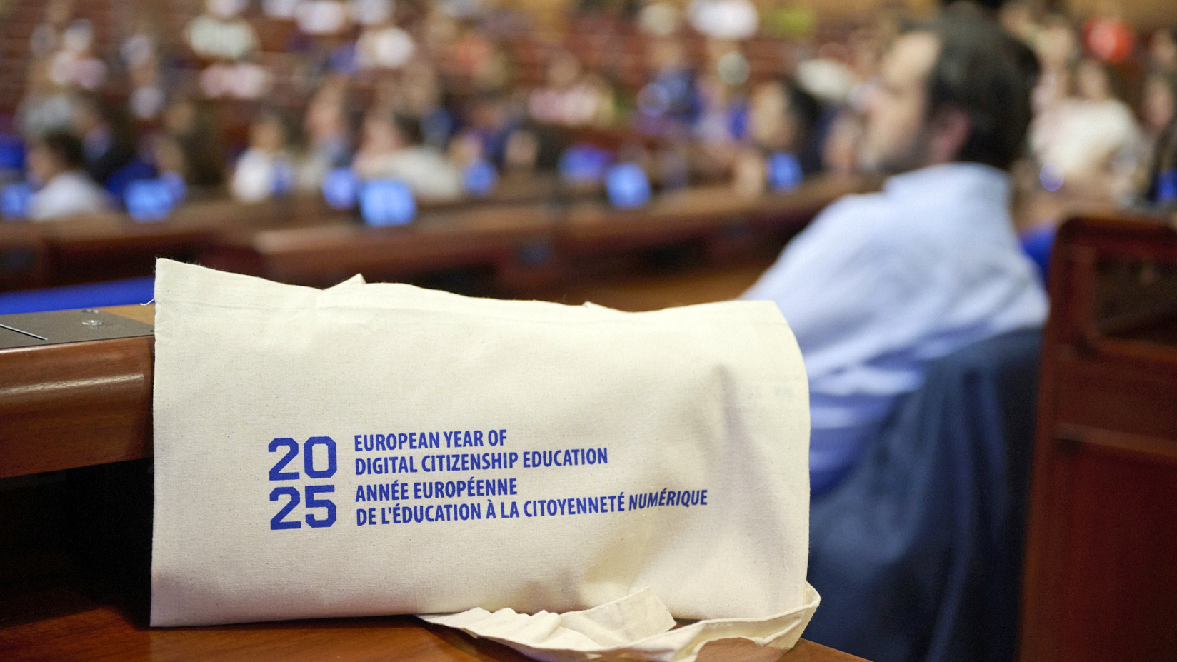 Appel à contributions - Conférence de clôture « La voie à suivre » de l'Année européenne 2025