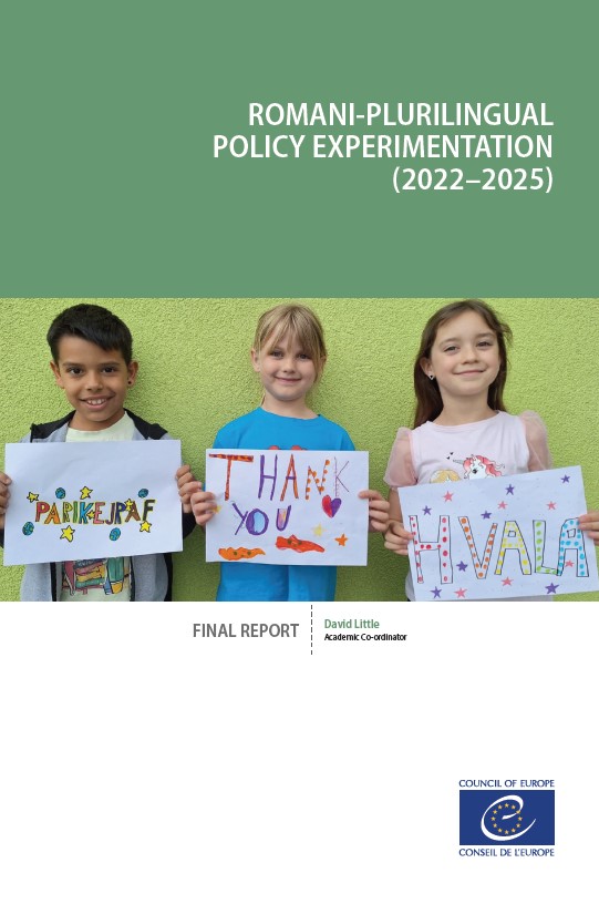 Final report