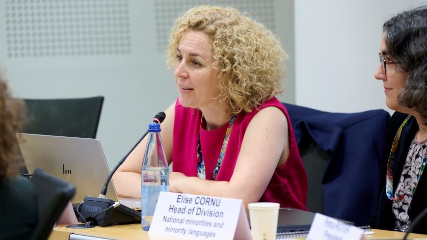 Meeting of the Chairs of the Council of Europe Monitoring Bodies with the Secretary General