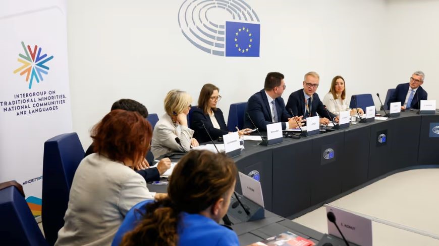 Council of Europe and European Parliament Minority Intergroup discuss implementation of minority rights standards