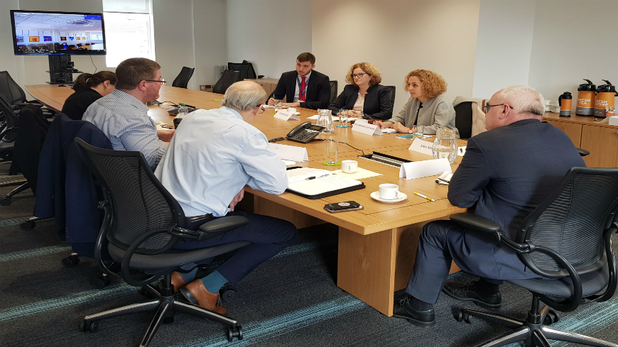 Irlande : experts et autorités se rencontrent