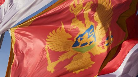 Montenegro: A need to improve promotion of the Romani language, among other findings in minority language report