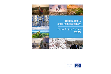 Activity Report 2025