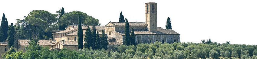 Routes de l'olivier