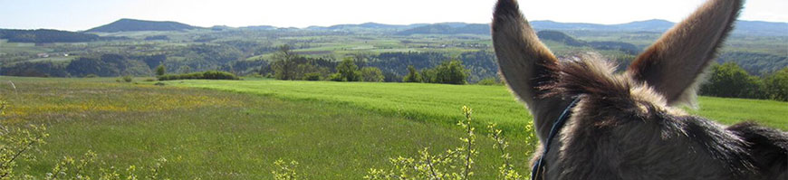 In the footsteps of Robert Louis Stevenson