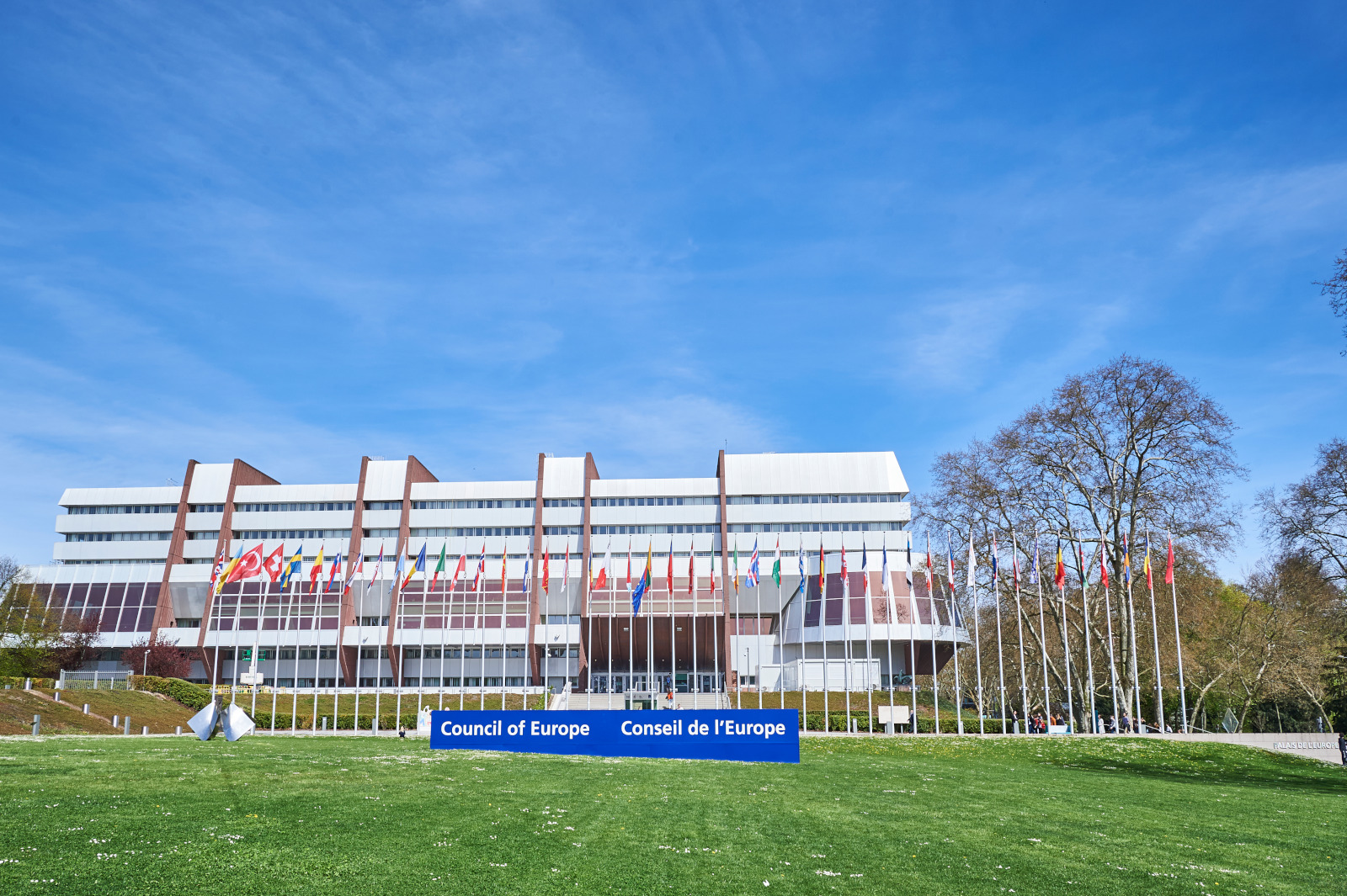 Conseil de l'Europe : le Comité Statutaire de l'APE adopte le programme et le budget 2024-2025