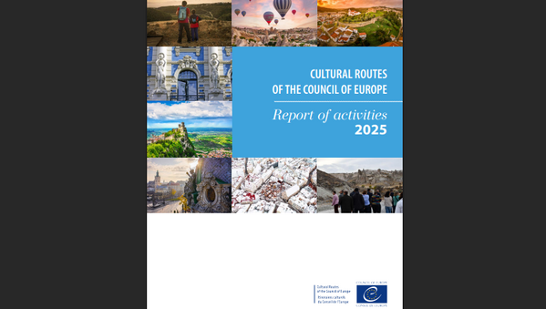 Publication of the 2025 Report of Activities 