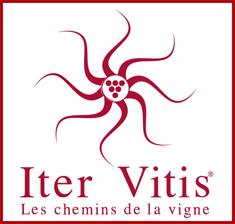 Federazione Internazionale “Iter Vitis”