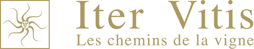 Association « Iter Vitis » France