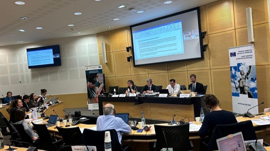 CJ/ENF-ISE - Work on an instrument on the rights and best interests of the child in care proceedings continues
