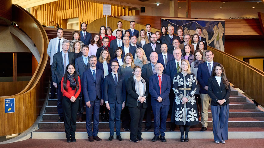 105th plenary meeting of the CDCJ / Joint CDCJ-CDENF launch event on Recommendations on the rights and best interests of the child in parental separation and care proceedings