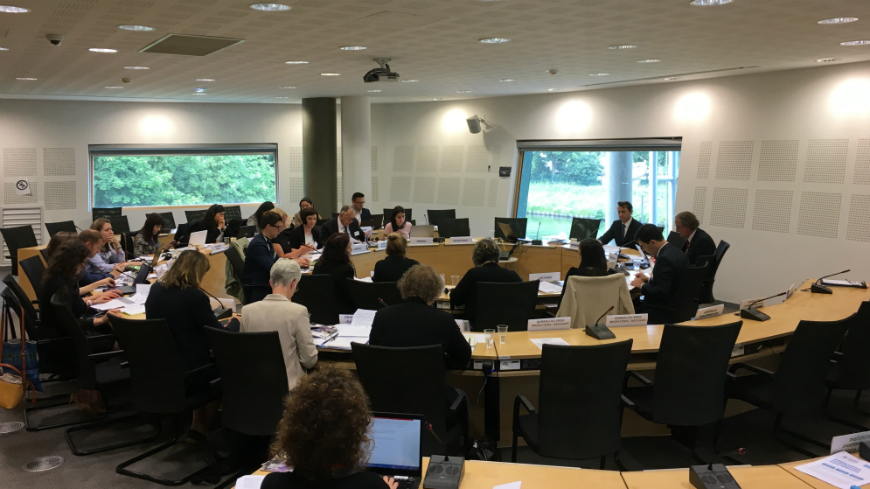 Participants at the ad hoc meeting on Statelessness Determination Procedures