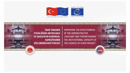 Council of Europe publications translated into Turkish