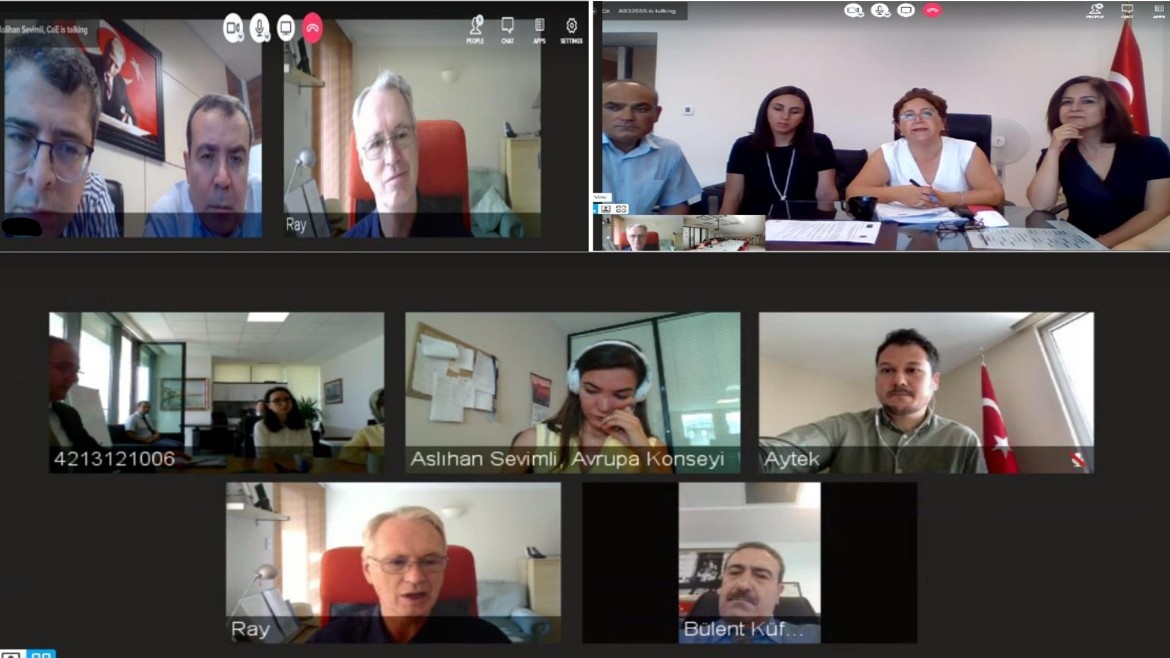 One to One Online Meetings with Pilot Courts (16-17 July 2020)