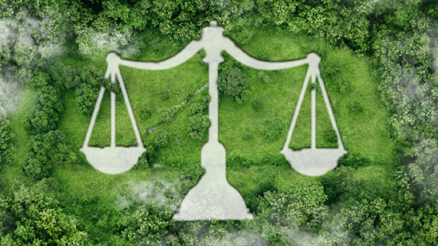 Publication d’une Étude sur les contentieux nationaux en matière de climat préparée par des expertes juridiques sous la supervision du CDCJ