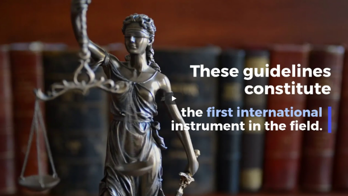 Guidelines on Electronic Evidence in Civil and Administrative Proceedings (30 January 2019)