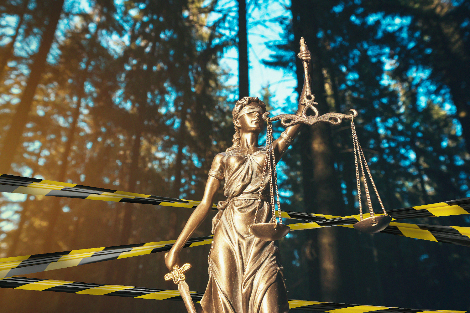 Nouvelle Convention : Le Comité d'experts sur la protection de l'environnement par le droit pénal (PC-ENV) tiendra sa 1ère réunion les 3 et 4 avril 2023