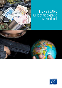 White paper - Council of Europe European Committee on Crime Problems