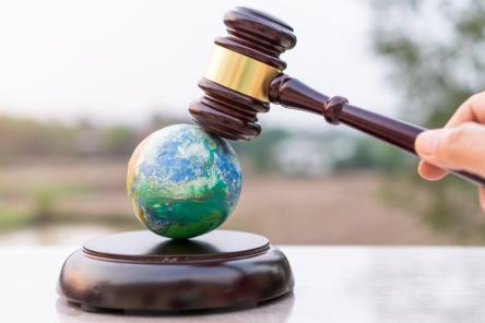 Council of Europe to draft a new global Convention to Protect the Environment through Criminal Law