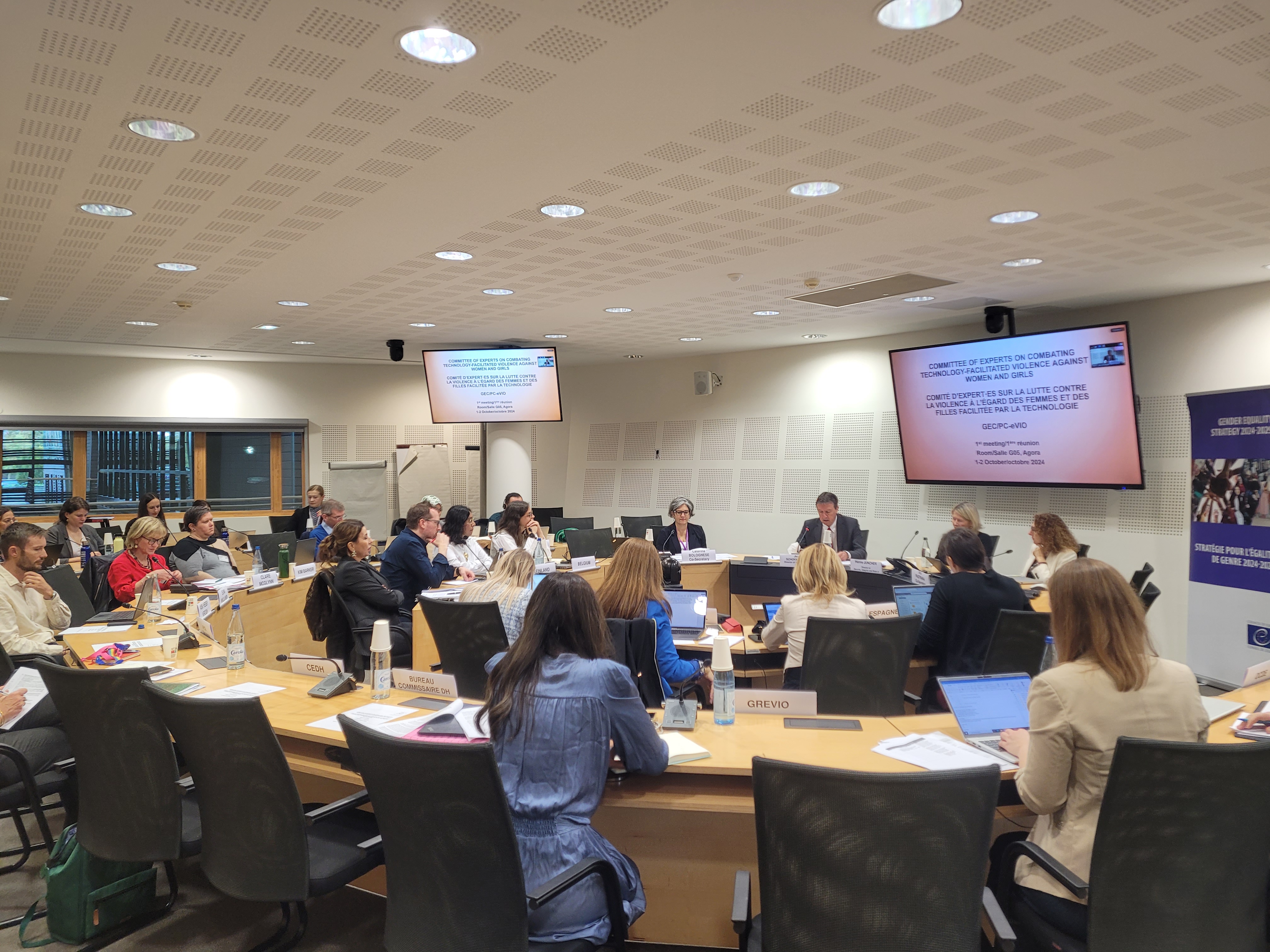 Première réunion du Comité d'expert·es sur la lutte contre la violence à l'égard des femmes et des filles facilitée par les technologies