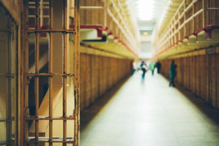 Revised European Prison Rules: new guidance to prison services on humane treatment of inmates
