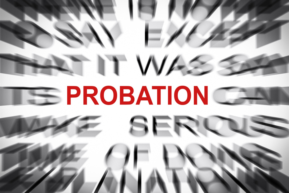 Council of Europe Probation Rules