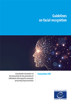 Thematic factsheet on efeective investigations (2020)