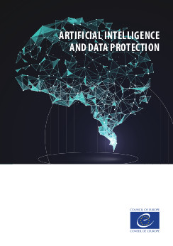 Thematic factsheet on efeective investigations (2020)