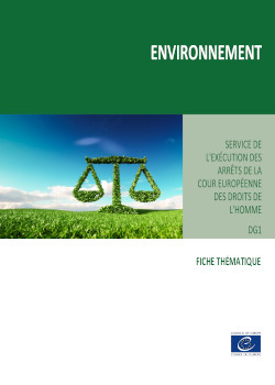 Factsheet on the execution of ECtHR judgments concerning environment