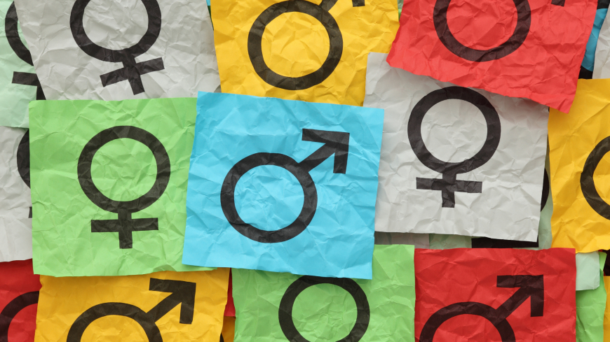 Legal gender recognition in North Macedonia - Vimarsana News