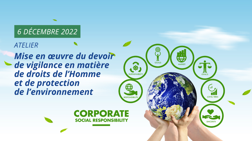 Atelier du Conseil de l'Europe "Mise en œuvre du devoir de diligence en matière de droits de l'homme et de protection de l'environnement"