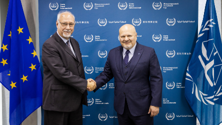 Co-ordination between International Criminal Court's Prosecutor and Council of Europe Director General of Human Rights and Rule of Law to assist the Prosecutor General of Ukraine