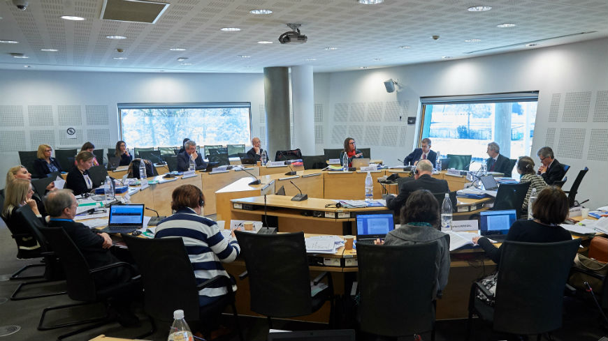 310th session of the European Committee of Social Rights