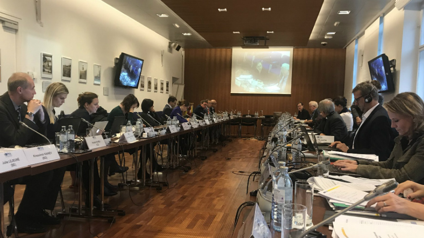 Cooperation between the Council of Europe and Fundamental Rights Agency
