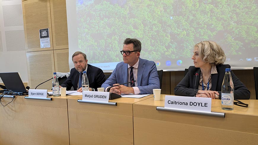 Deputy Secretary General on deliberative democracy: “all voices need to be heard”