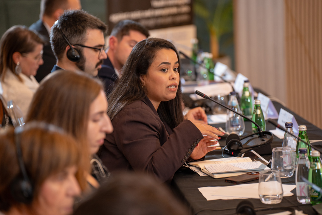 Kotor Declaration proposes youth strategies to combat racist and xenophobic acts through computer systems